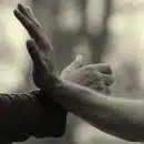 hands, martial arts, qi gong