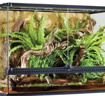 terrarium