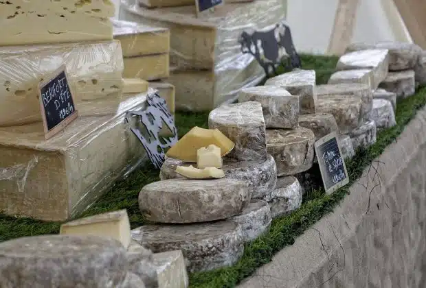 Les Marchés Provençaux : découvrez leurs particularités